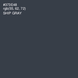 #373E48 - Ship Gray Color Image